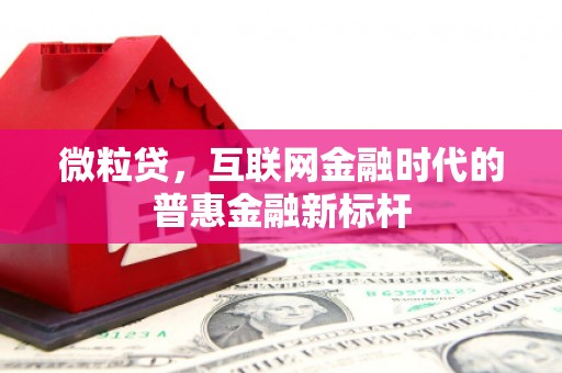 江西微粒贷，互联网金融时代的普惠金融新标杆