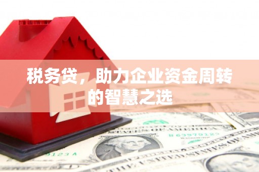 江西税务贷，助力企业资金周转的智慧之选