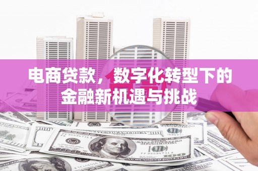 江西电商贷款，数字化转型下的金融新机遇与挑战