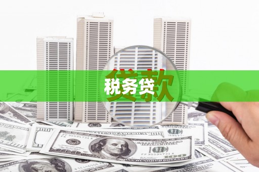 江西税务贷