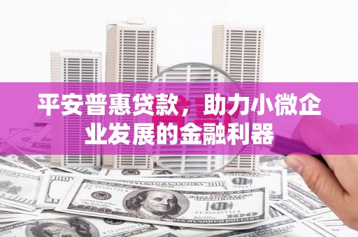江西平安普惠贷款，助力小微企业发展的金融利器