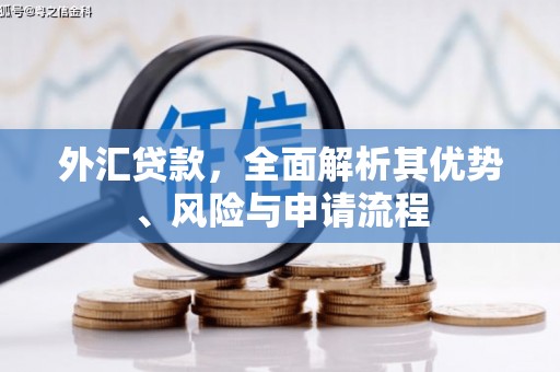 江西外汇贷款，全面解析其优势、风险与申请流程