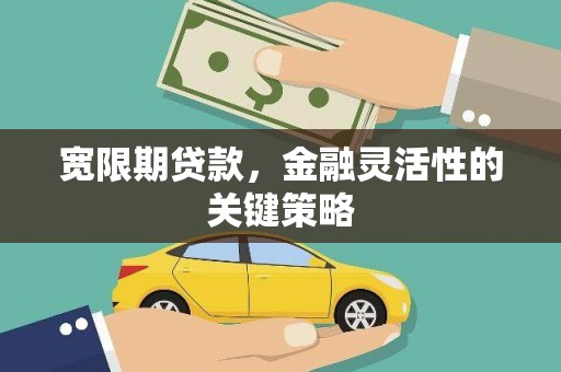 江西宽限期贷款，金融灵活性的关键策略