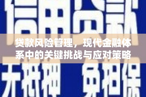 江西贷款风险管理，现代金融体系中的关键挑战与应对策略