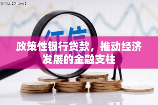江西政策性银行贷款，推动经济发展的金融支柱