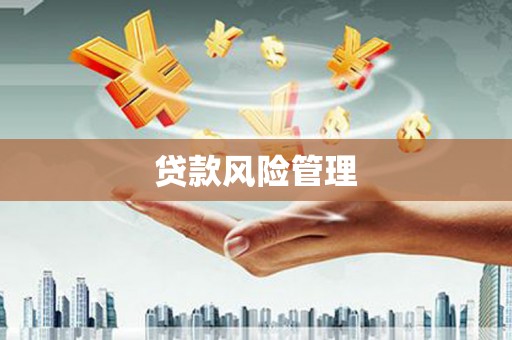 江西贷款风险管理