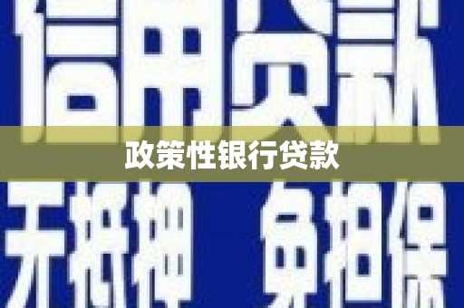 江西政策性银行贷款