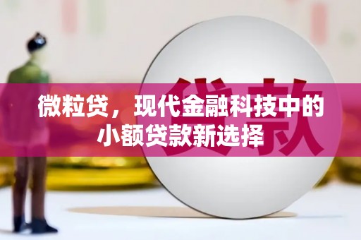 江西微粒贷，现代金融科技中的小额贷款新选择