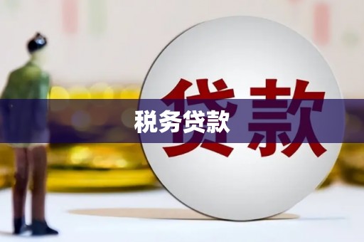 江西税务贷款
