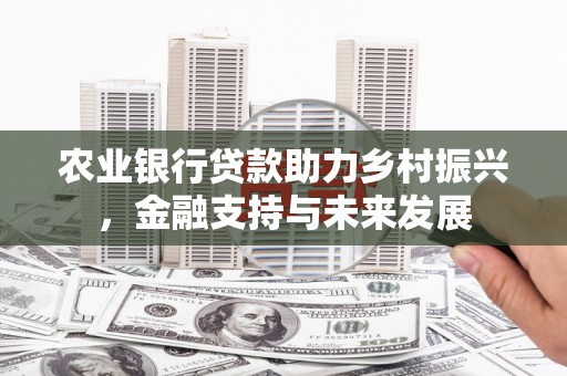 江西农业银行贷款助力乡村振兴，金融支持与未来发展