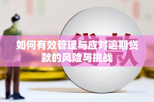江西如何有效管理与应对逾期贷款的风险与挑战