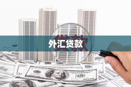 江西外汇贷款