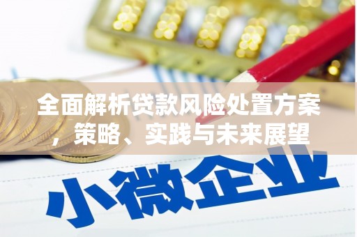 江西全面解析贷款风险处置方案，策略、实践与未来展望