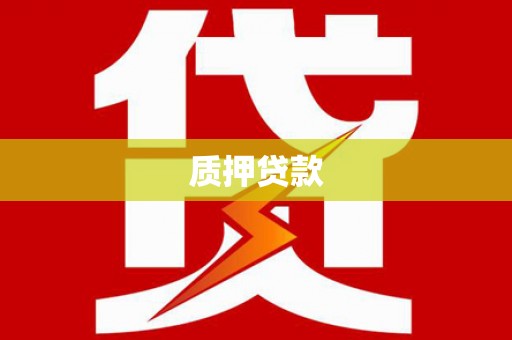 江西质押贷款