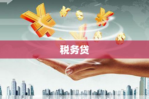 江西税务贷