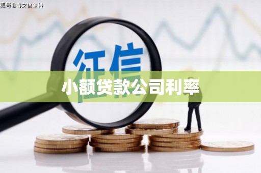 江西小额贷款公司利率