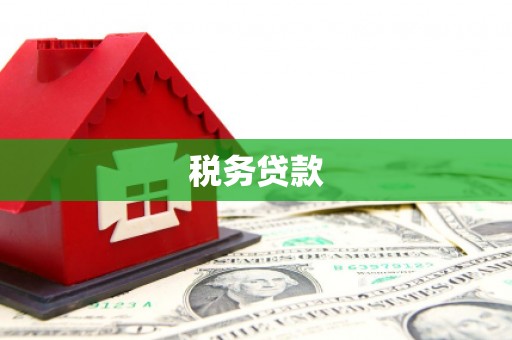 江西税务贷款