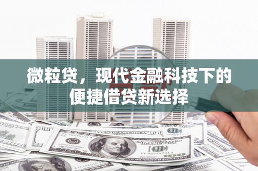 江西微粒贷，现代金融科技下的便捷借贷新选择