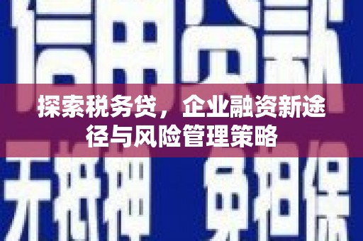 江西探索税务贷，企业融资新途径与风险管理策略