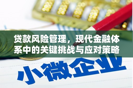 江西贷款风险管理，现代金融体系中的关键挑战与应对策略