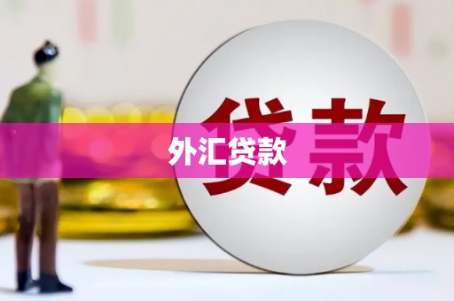 江西外汇贷款