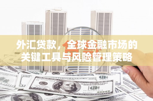 江西外汇贷款，全球金融市场的关键工具与风险管理策略