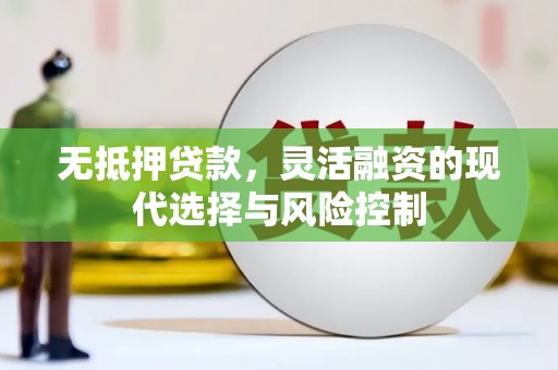 江西无抵押贷款，灵活融资的现代选择与风险控制