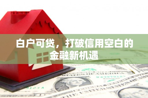 江西白户可贷，打破信用空白的金融新机遇