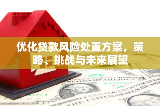江西优化贷款风险处置方案，策略、挑战与未来展望