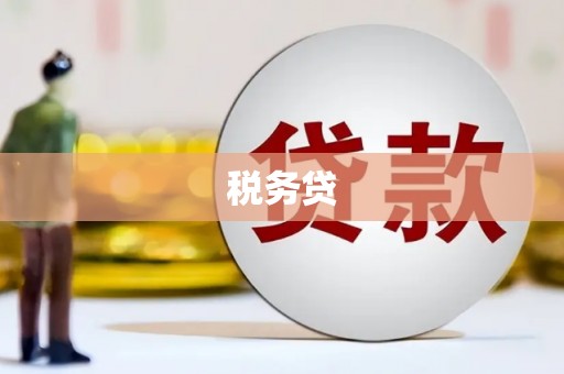 江西税务贷