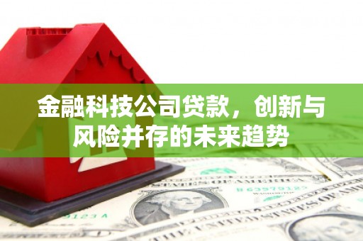 江西金融科技公司贷款，创新与风险并存的未来趋势