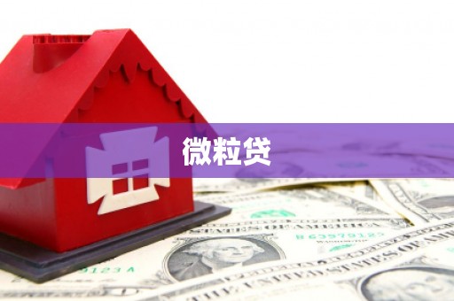 江西微粒贷