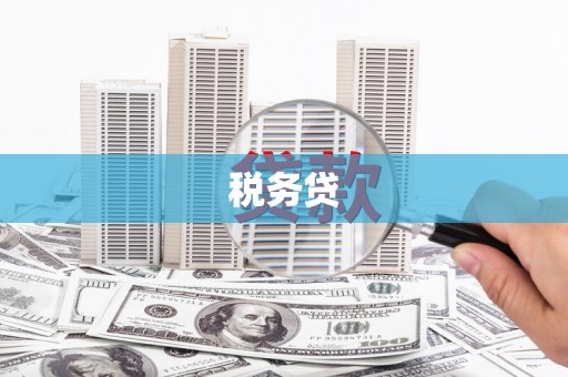 江西税务贷