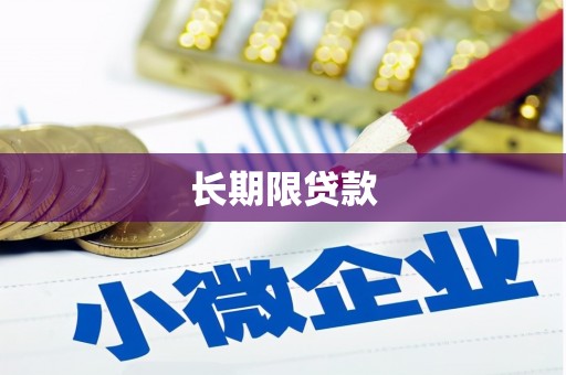 江西长期限贷款