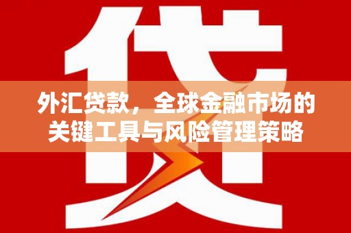 江西外汇贷款，全球金融市场的关键工具与风险管理策略
