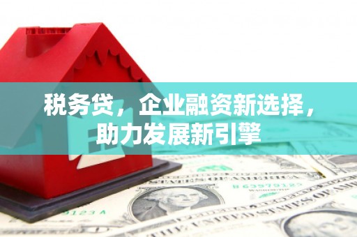 江西税务贷，企业融资新选择，助力发展新引擎