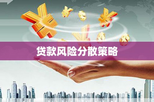 江西贷款风险分散策略