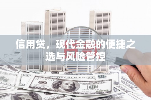 江西信用贷，现代金融的便捷之选与风险管控