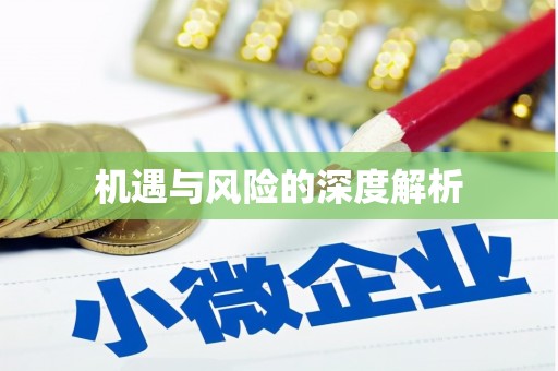 江西机遇与风险的深度解析