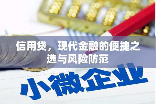 江西信用贷，现代金融的便捷之选与风险防范