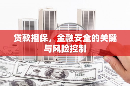 江西贷款担保，金融安全的关键与风险控制