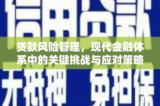 江西贷款风险管理，现代金融体系中的关键挑战与应对策略