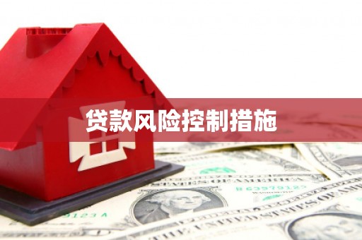 江西贷款风险控制措施