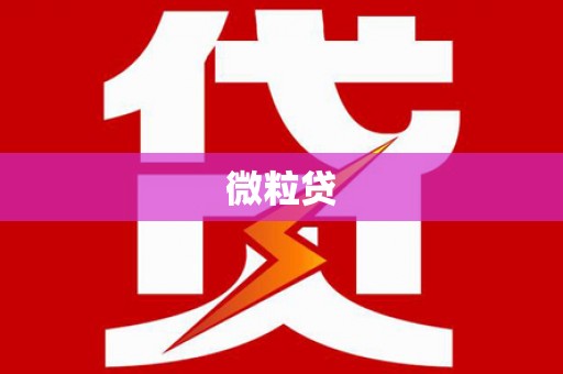 江西微粒贷