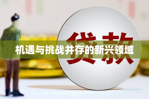 江西机遇与挑战并存的新兴领域