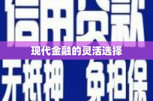 江西现代金融的灵活选择