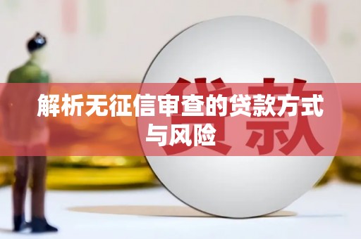 江西解析无征信审查的贷款方式与风险