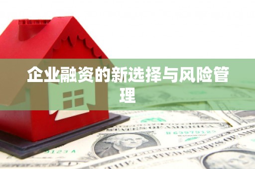 江西企业融资的新选择与风险管理