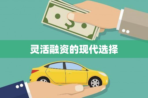 江西灵活融资的现代选择