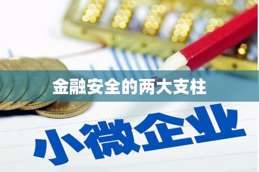 江西金融安全的两大支柱